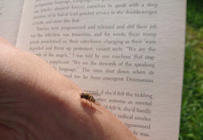 Kirja (China Miéville- Embassytown) ja kukkakärpänen